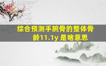 综合预测手腕骨的整体骨龄11.1y 是啥意思